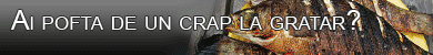 Gratare de gradina