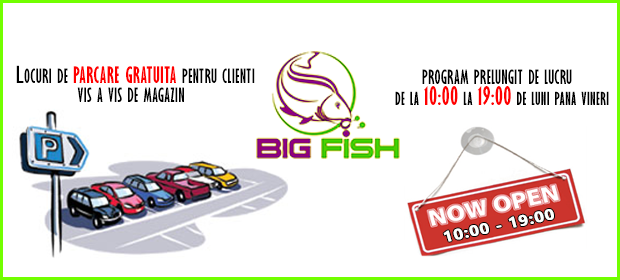 parcare gratuita big fish