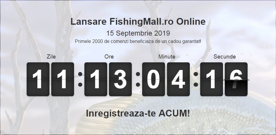 lansare fishing mall