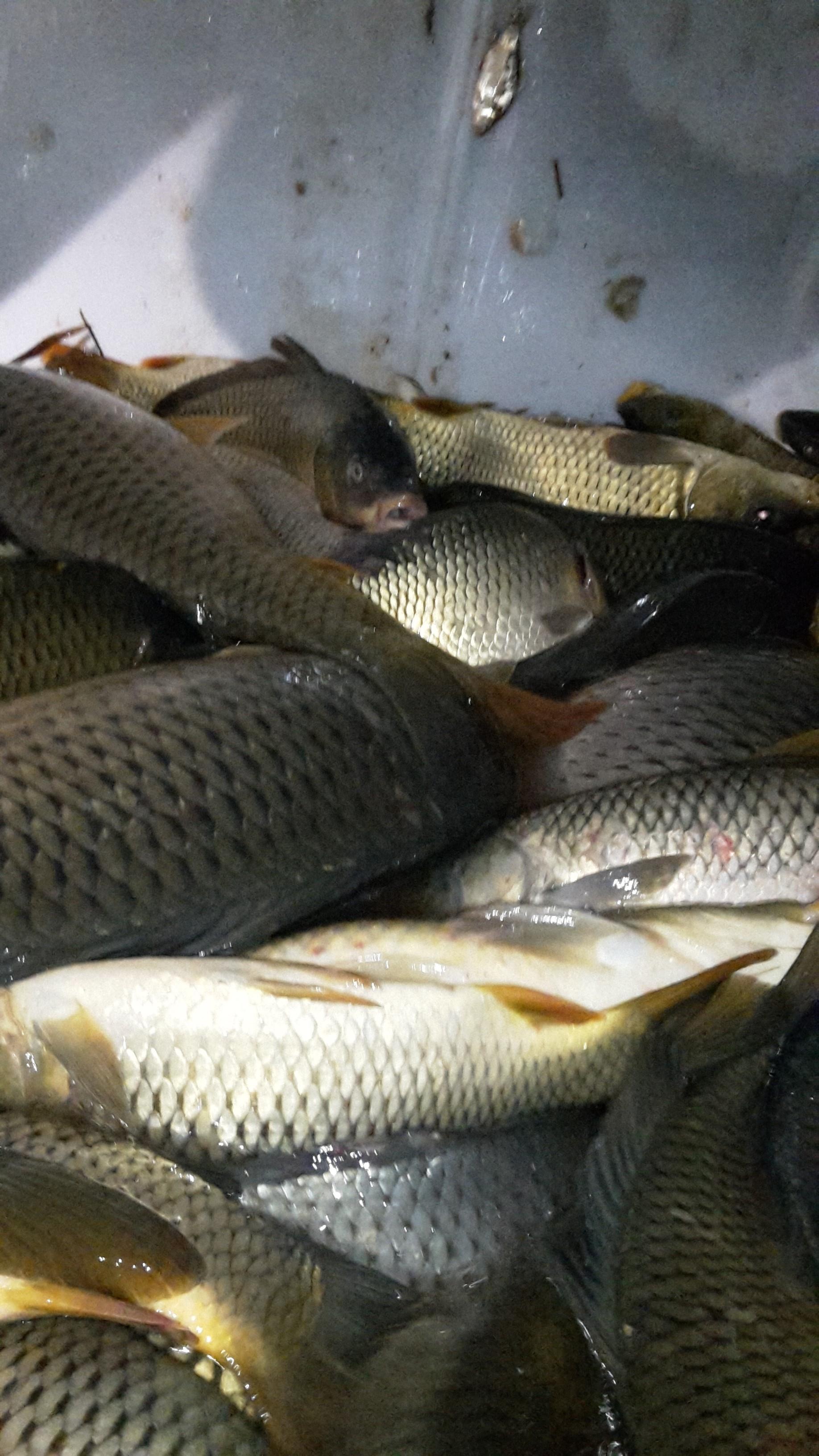 Valea Cucului - 20150409223753.jpg