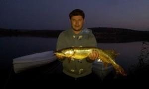 poze Faclia - 19581124748443259900255973418122758701405n.jpg