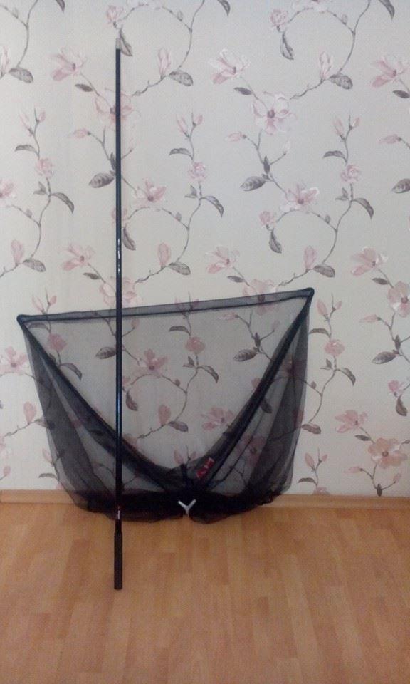  - 1185577216231488746333565709049472998685362n.jpg