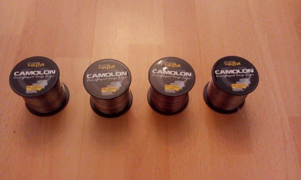  - 1101062816065851729563935253644972568255072n.jpg