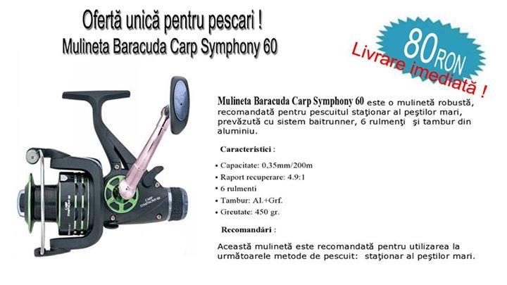  - 11705324102061016502522365449100418855832302n.jpg