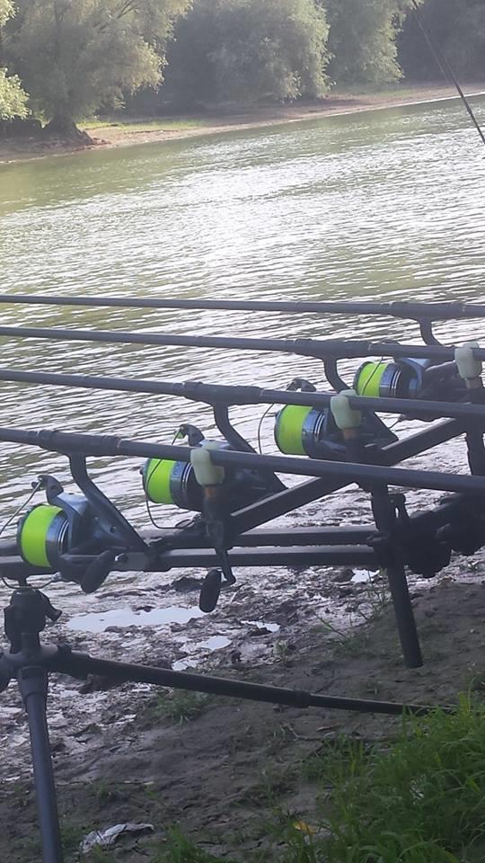  - 1208701110146934552285511279679608n1.jpg