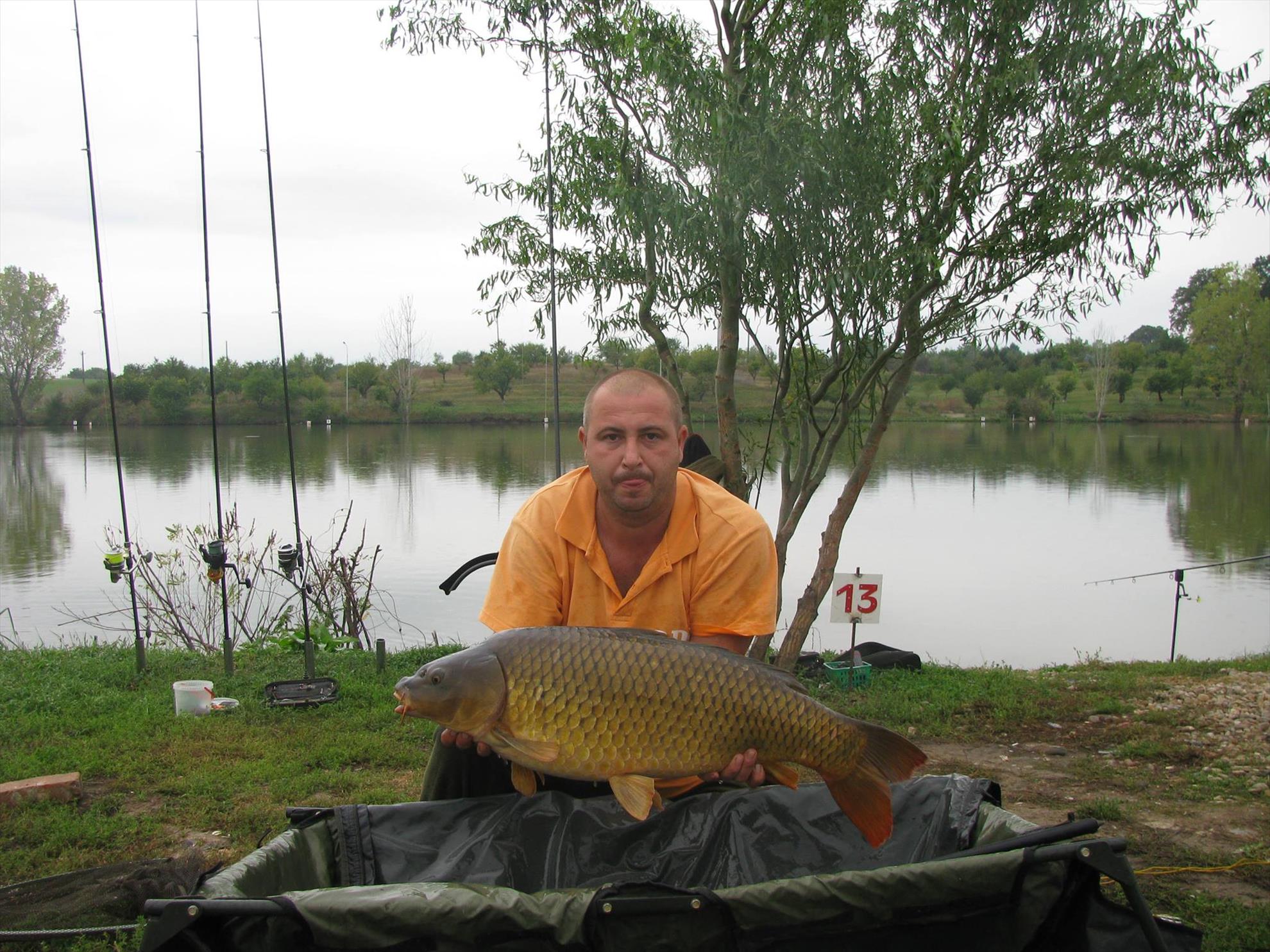 Cupa Carpbook 4 - 1126111610190799381123651637617141o.jpg