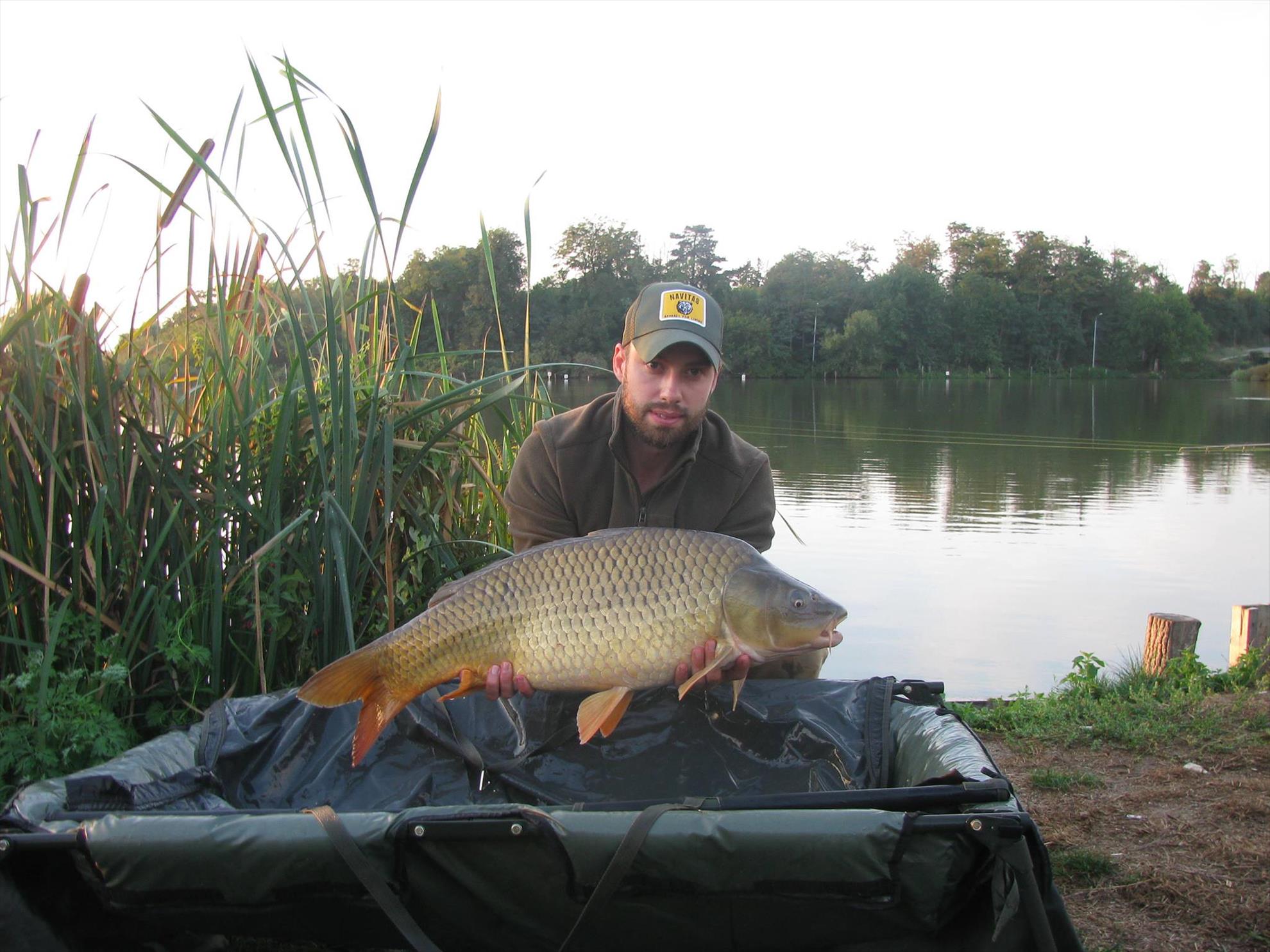 Cupa Carpbook 4 - 1208217010190800247790232116417631o.jpg