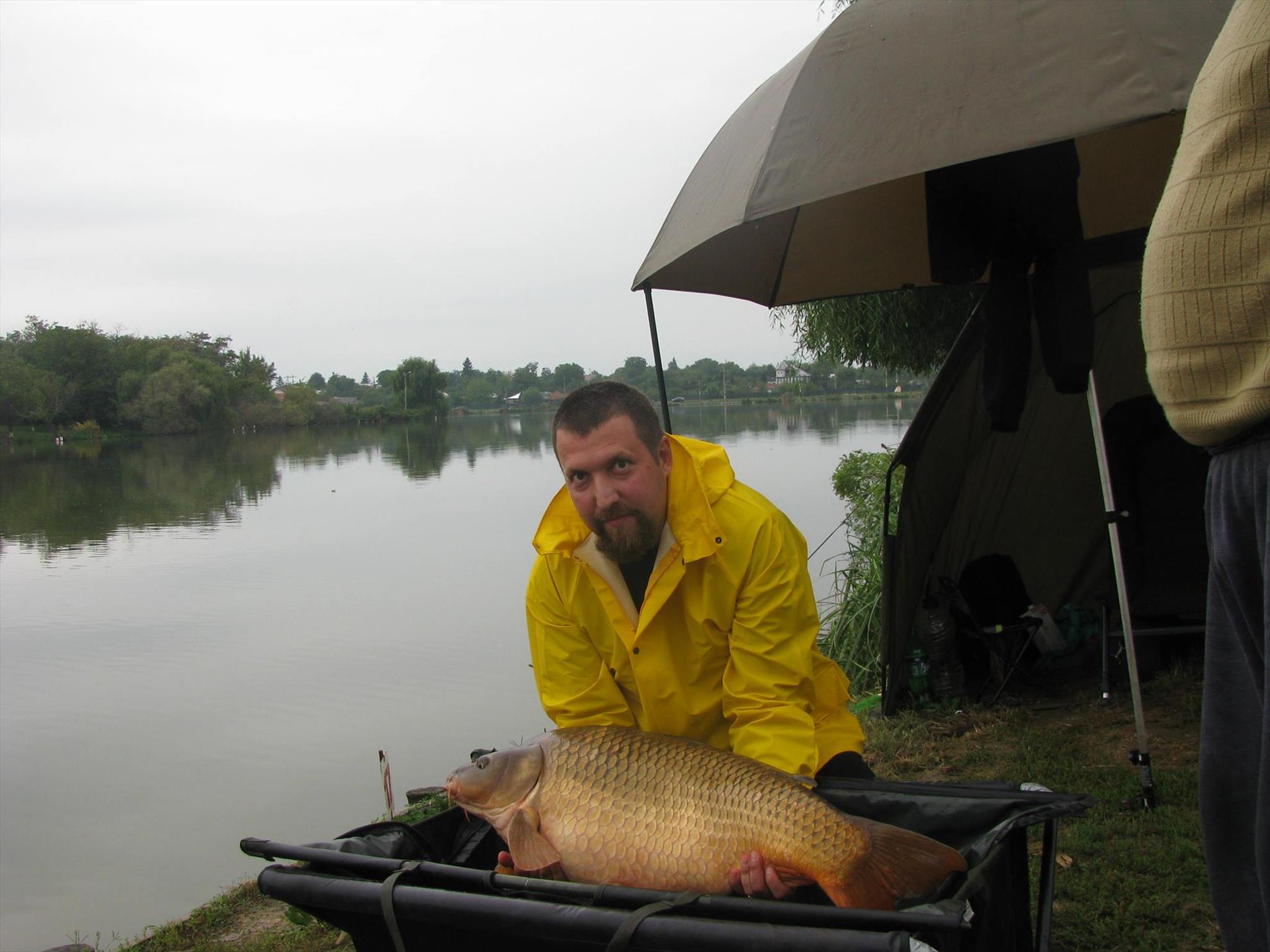 Cupa Carpbook 4 - 120827341019079928112366700809272o.jpg