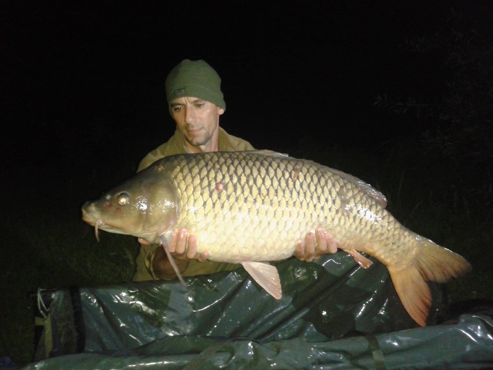 Cupa Carpbook 4 - 1208278710190799981123591637350425o.jpg