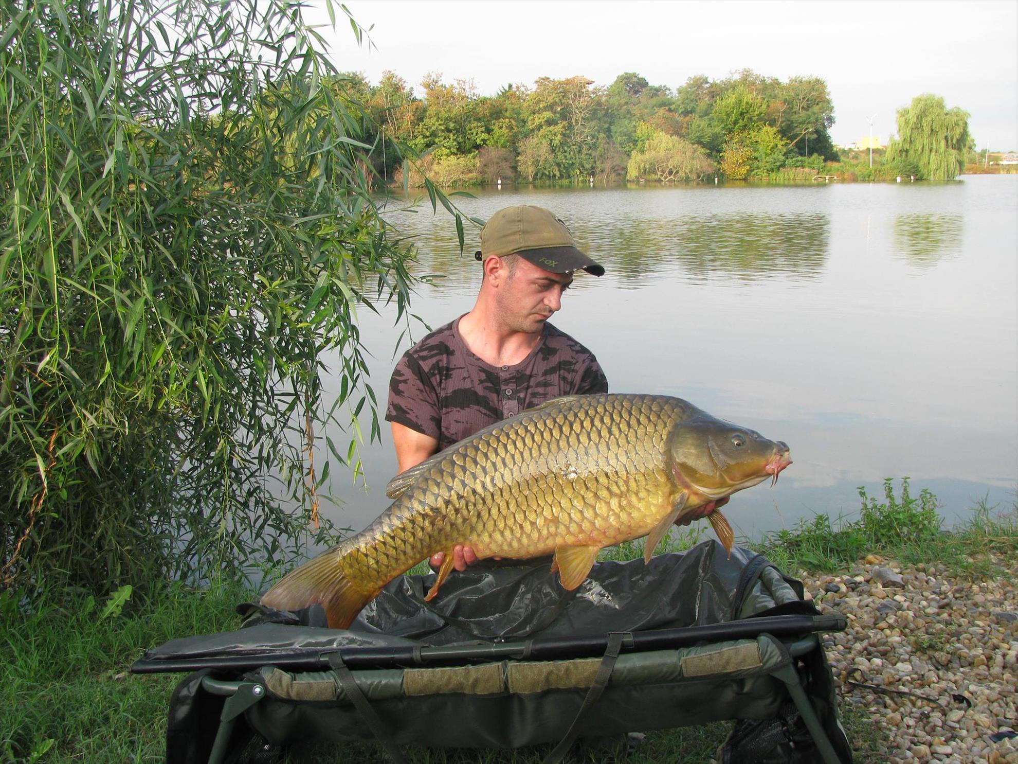 Cupa Carpbook 4 - 120828971019080034779022128476481o.jpg