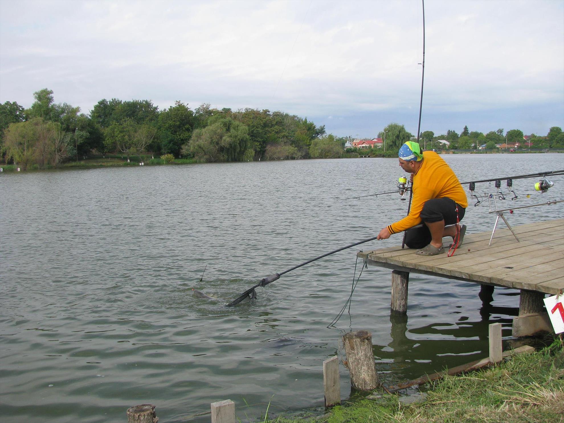 Cupa Carpbook 4 - 1208296510190800514456871125362442o.jpg