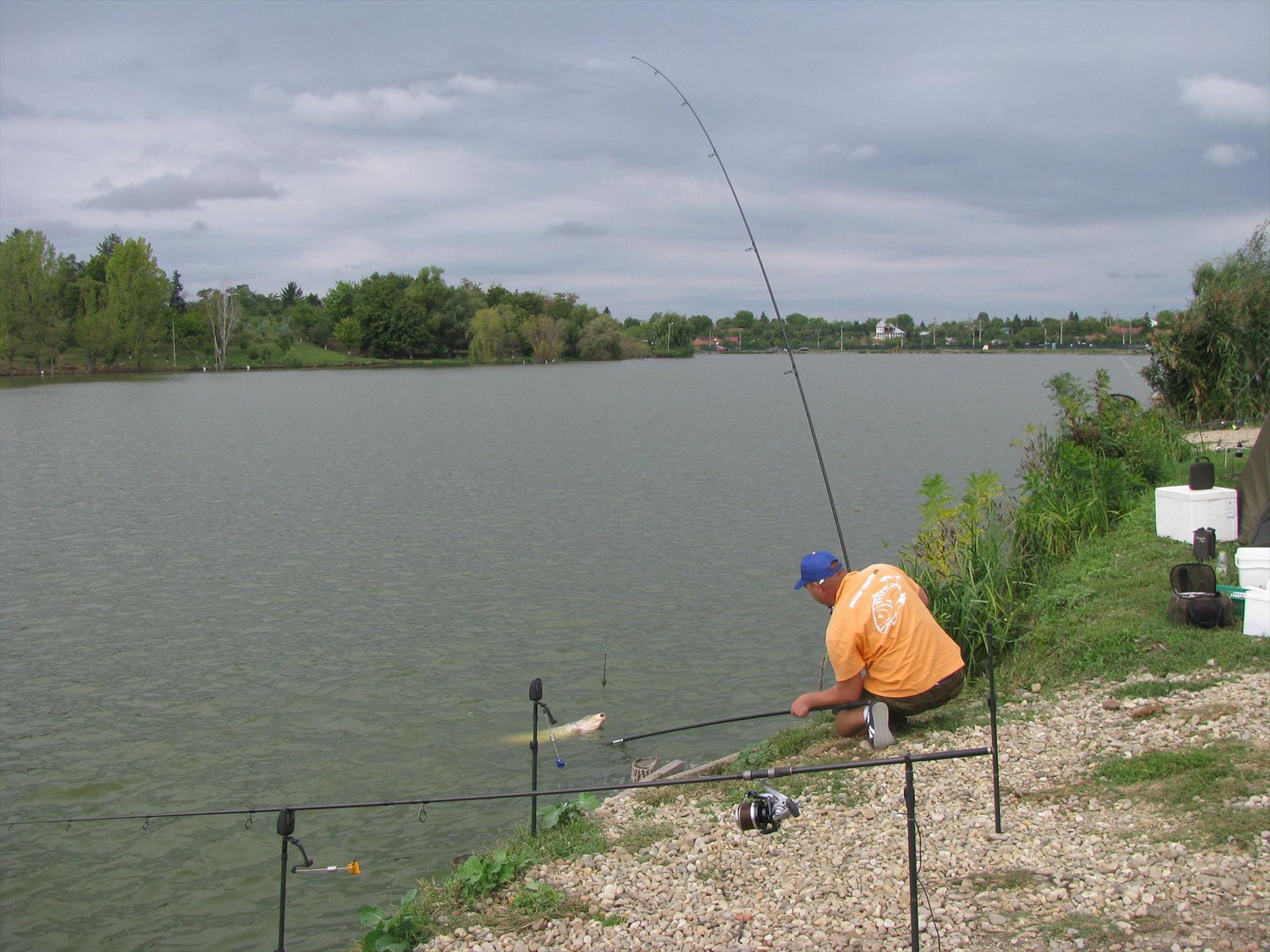 Cupa Carpbook 4 - 1211627810190800414456881159563709o.jpg