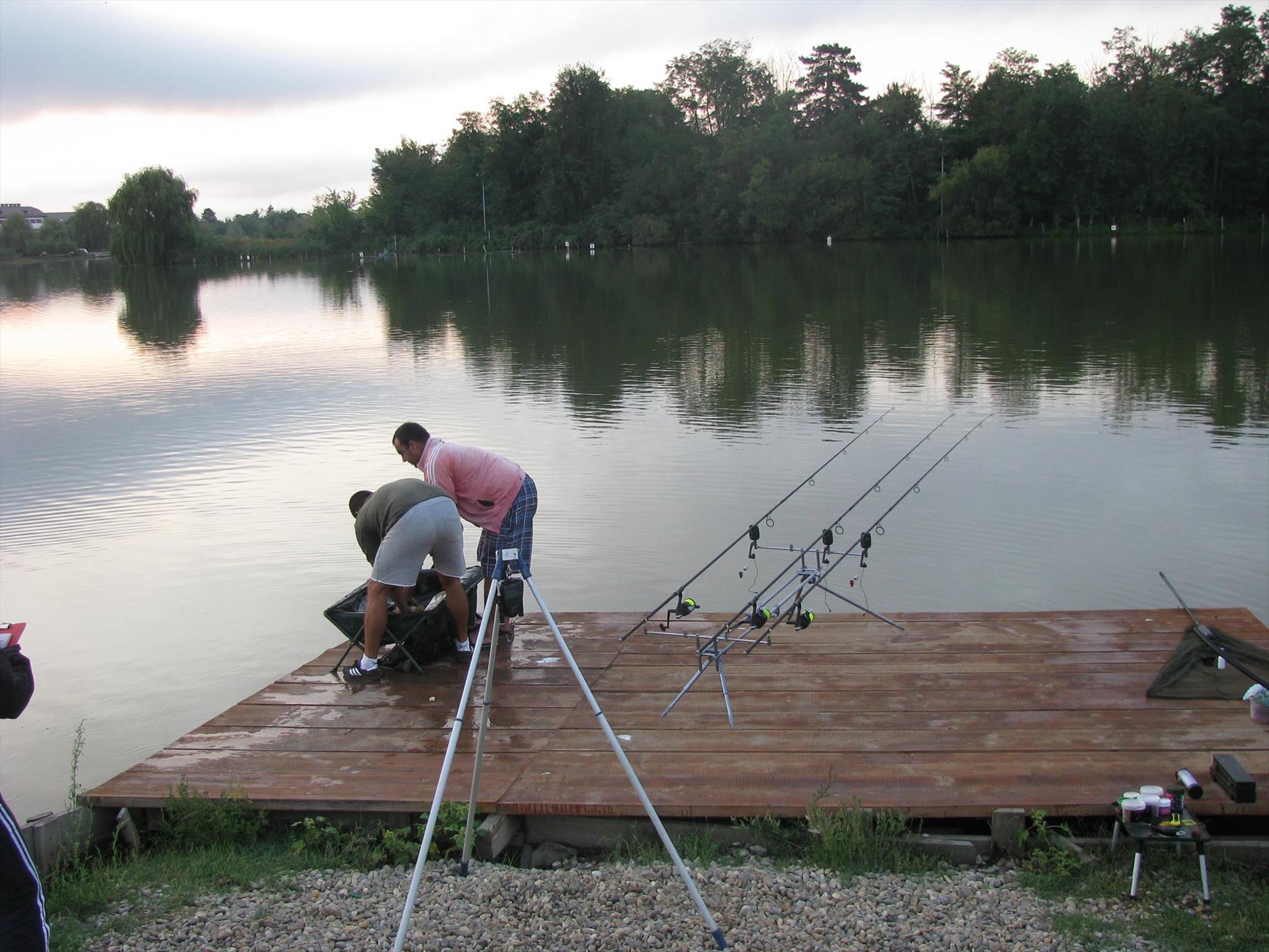 Cupa Carpbook 4 - 121197961019080008112358688714841o.jpg