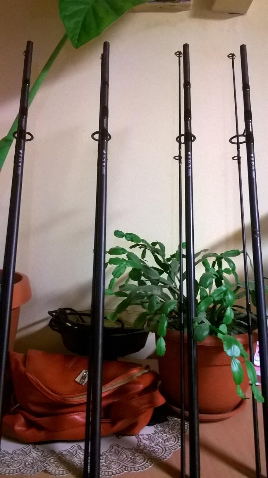  - wp20151126171538pro.jpg