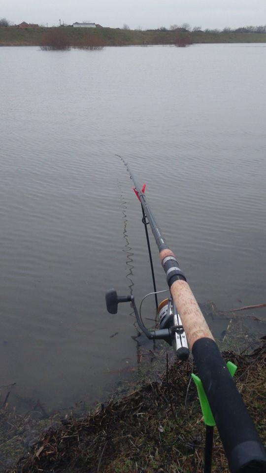  - 123466189036024263901192123994512n.jpg