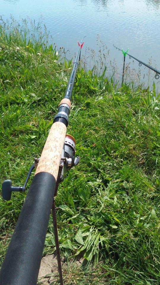  - 1234843890360241639012092206869n.jpg