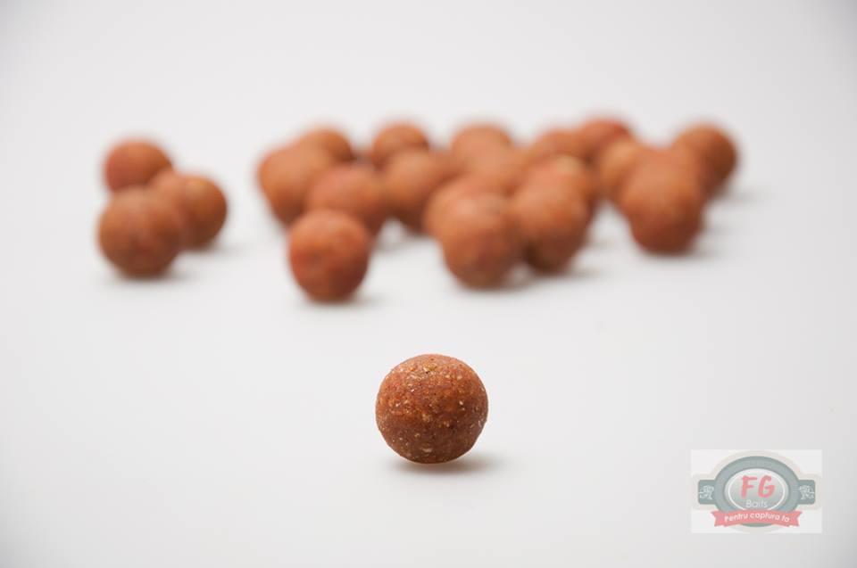  - 1265069511458717021297572063065987n.jpg