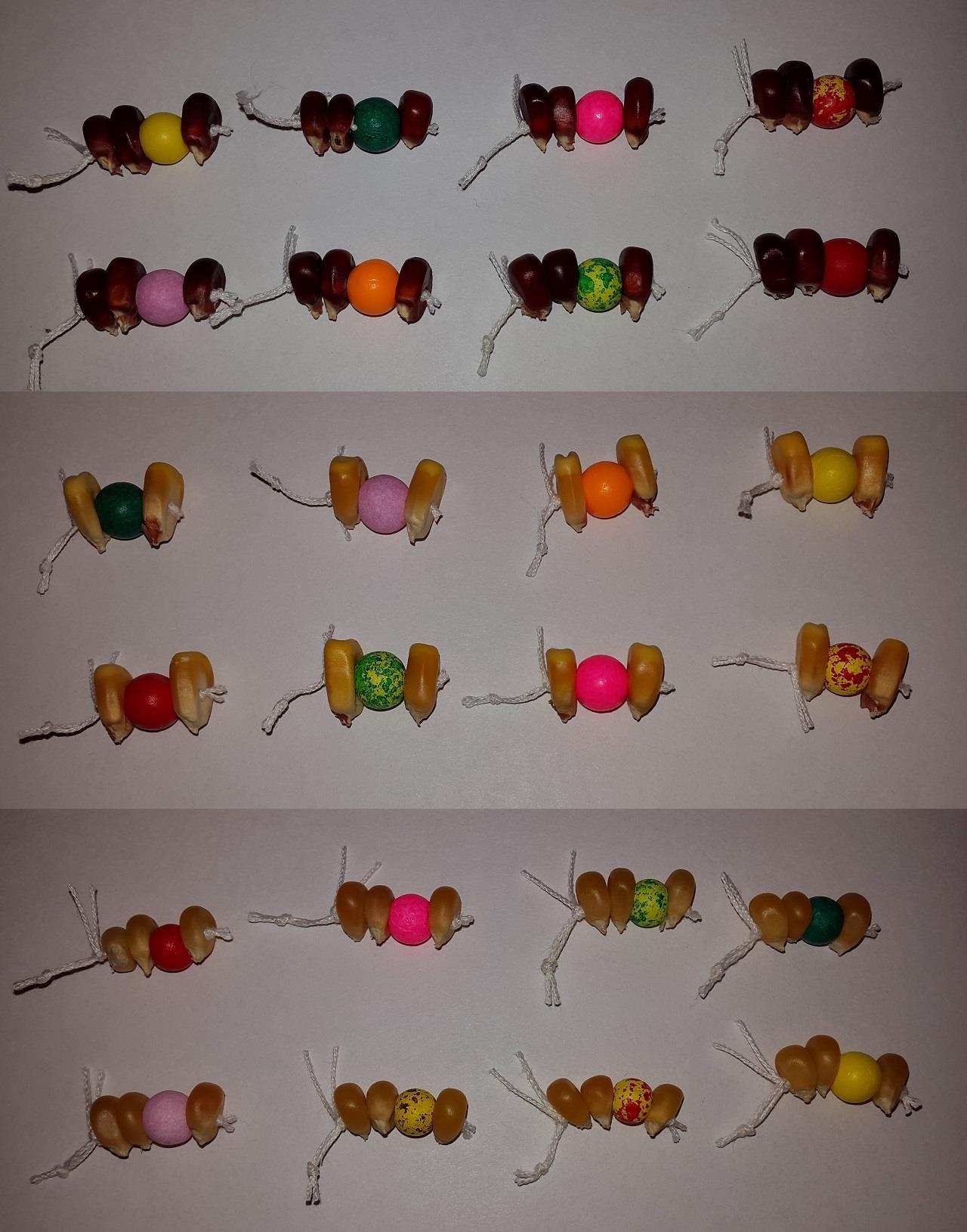  - 20160311191928.jpg