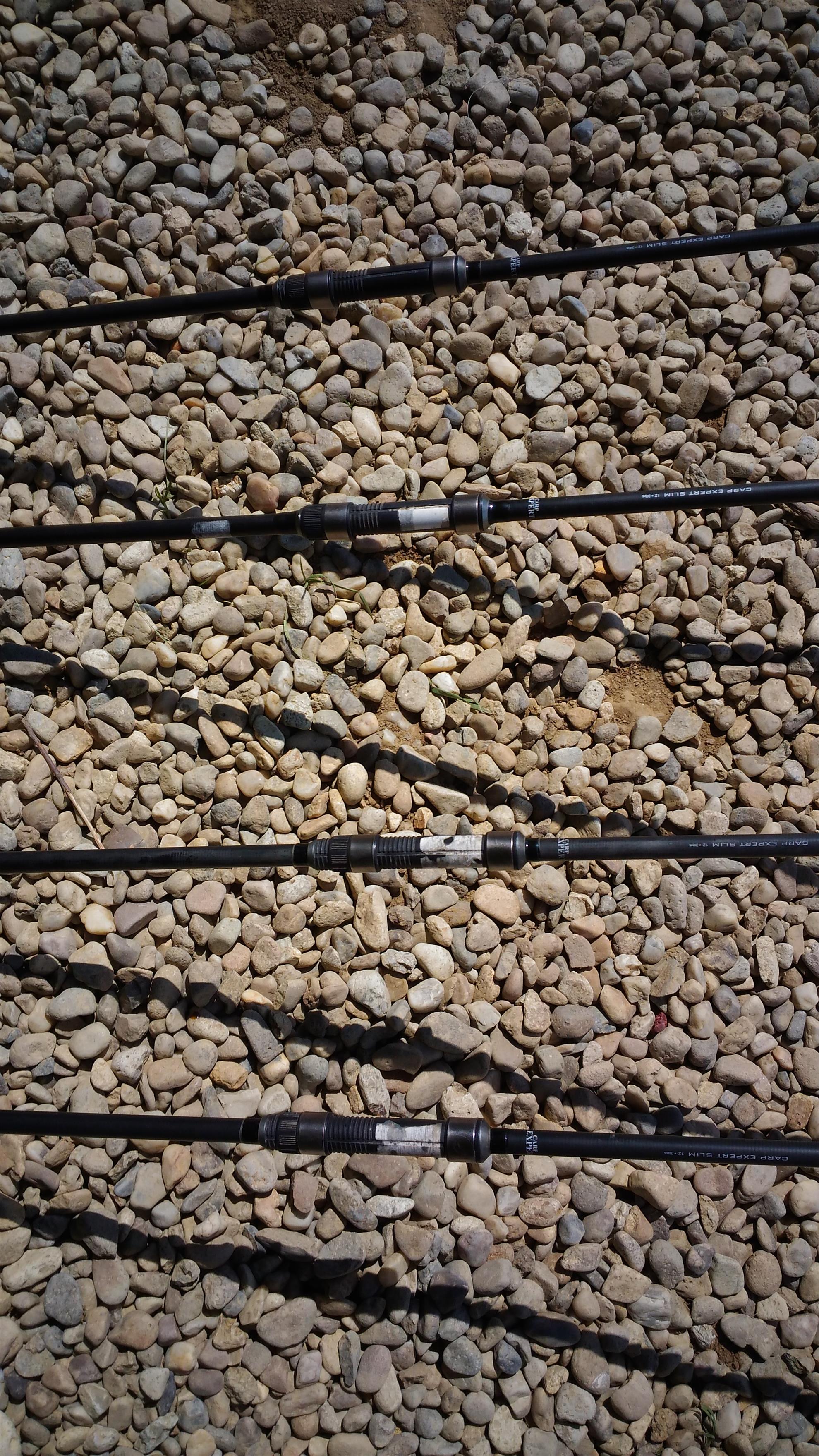  - p201605081509211.jpg