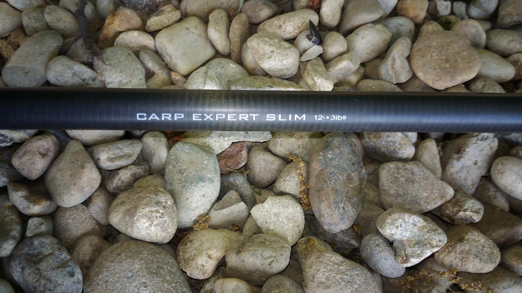  - p201605081512121.jpg