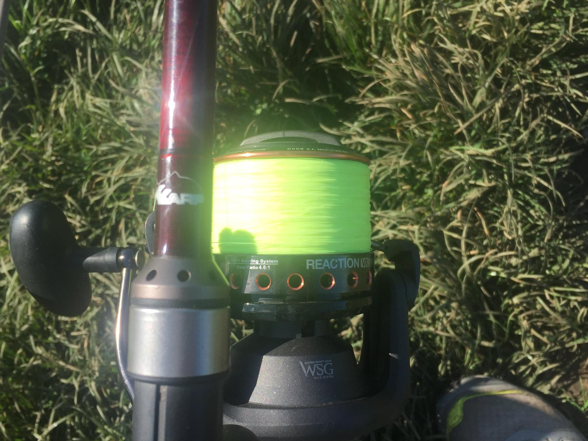  - image11111111.jpeg