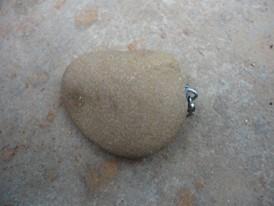  - 1340715518914749244131662372142870445127372n.jpg