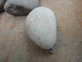  - 1342795218914749877464931888362938938154346n.jpg