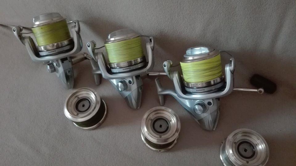  - 133257429158061718790305233732546469958250n.jpg