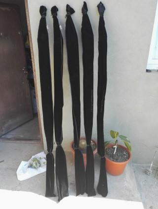  - img20160804104912-mobile.jpg