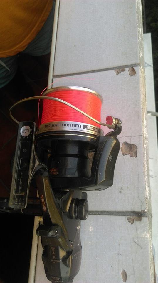  - 139895181110576328978507516000608n.jpg