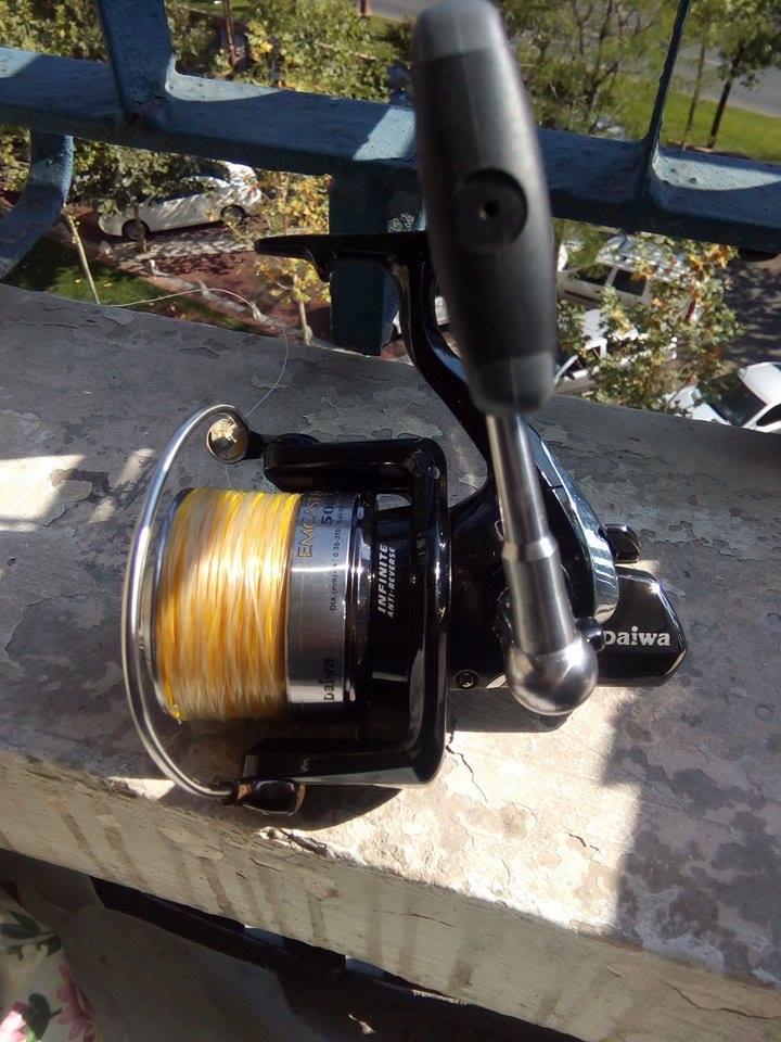  - 142181841546118252080910365354603n.jpg