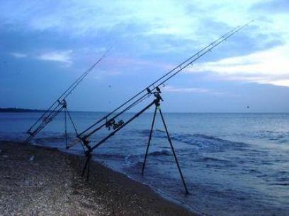  - 1182716621644x461fox-skypod-rod-pod-bucuresti.jpg