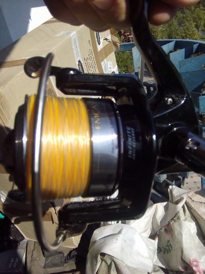  - 1415929515461181854142501951883523n.jpg