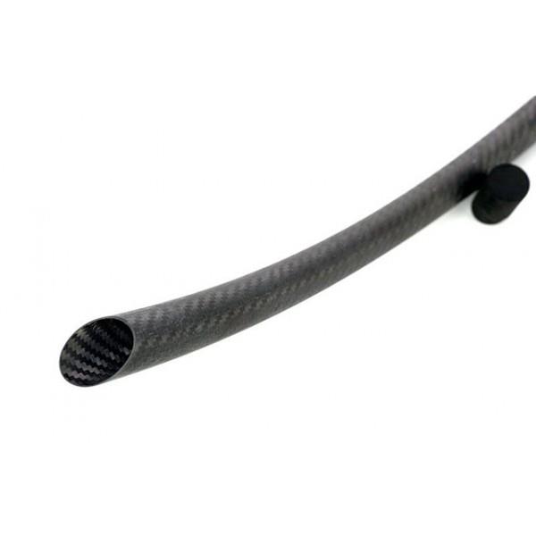  - bastoncarppro21.jpg