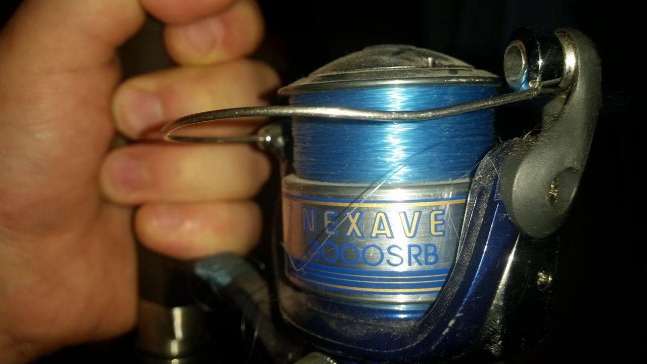  - 1495437411227892344421201805924359o.jpg