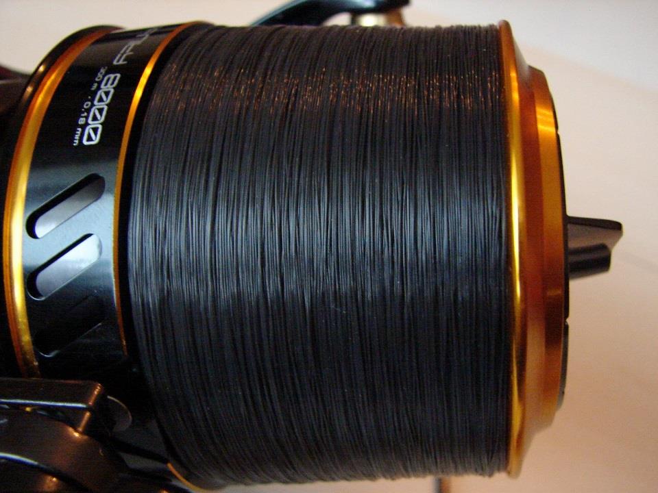  - affinity-281529.JPG