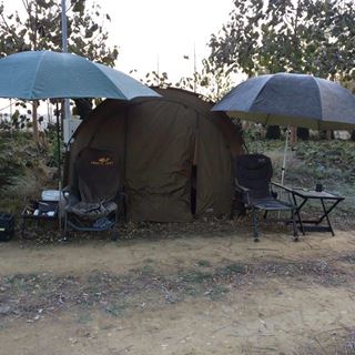cort anaconda cusky dome 170