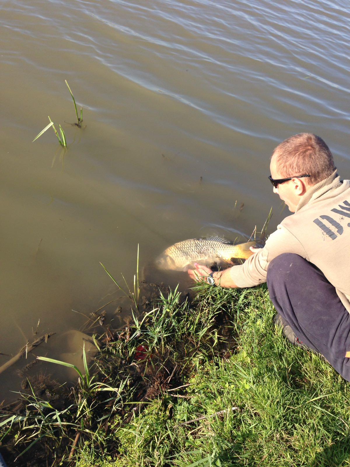 Capturi Paradisul Pescarilor - img-20160927-wa0001.jpg