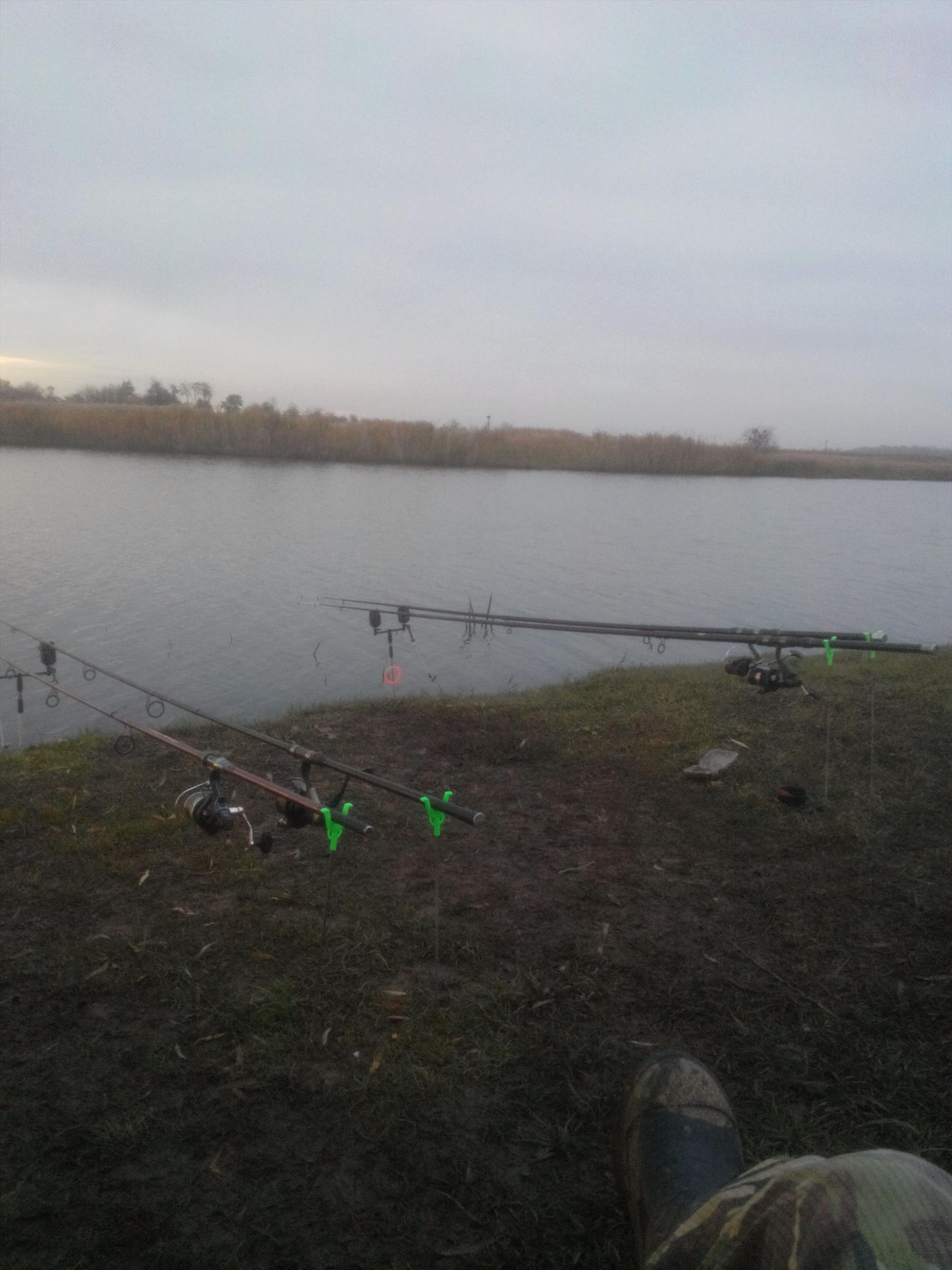 Capturi Paradisul Pescarilor - img20161102162356.jpg