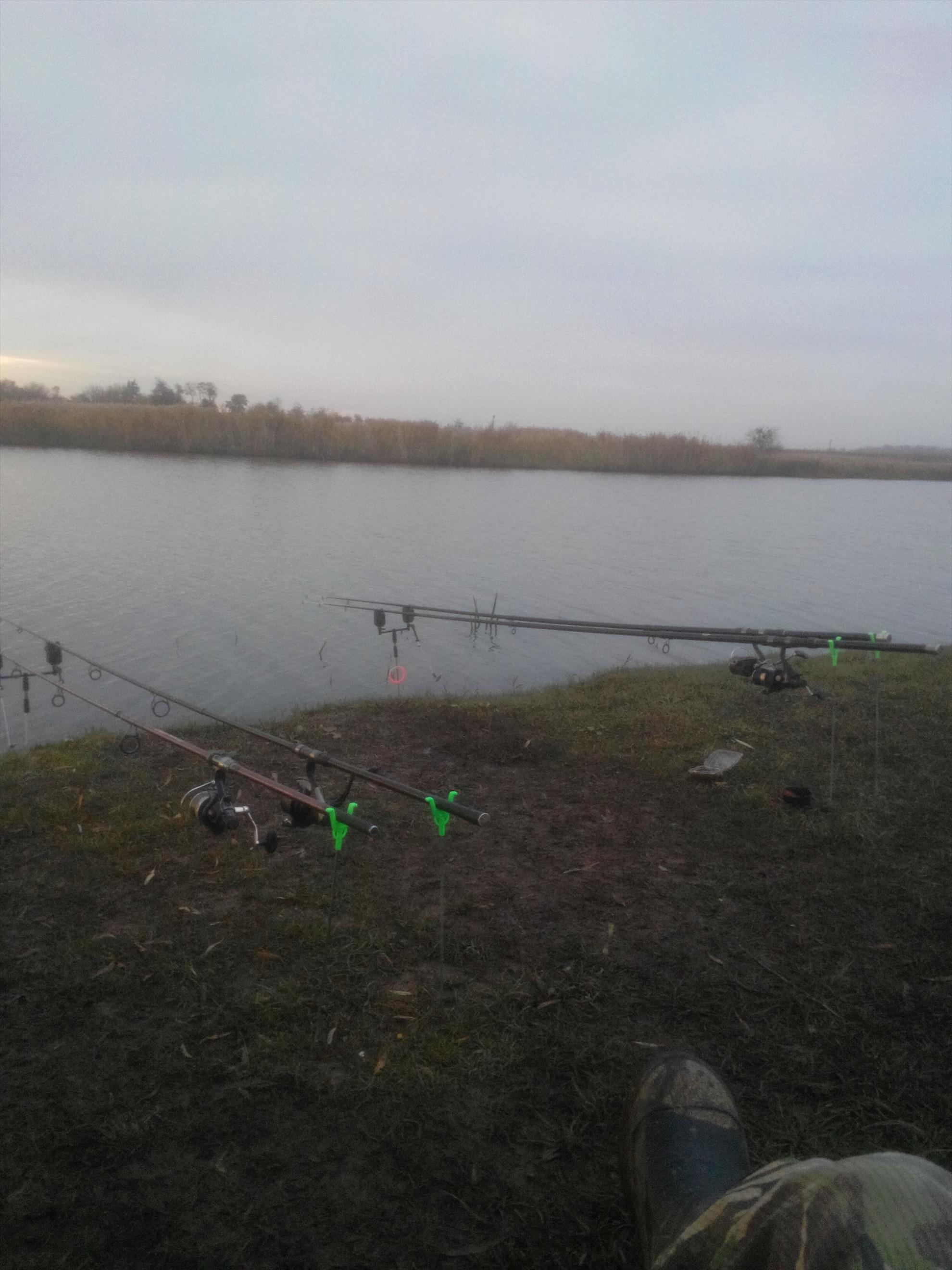 Capturi Paradisul Pescarilor - img20161102162358.jpg