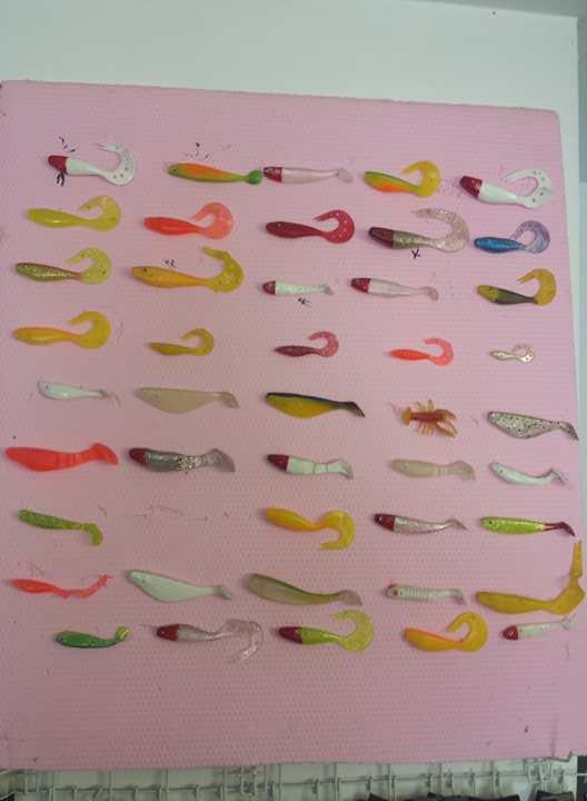  - 192061341788408534509367833515307n.jpg