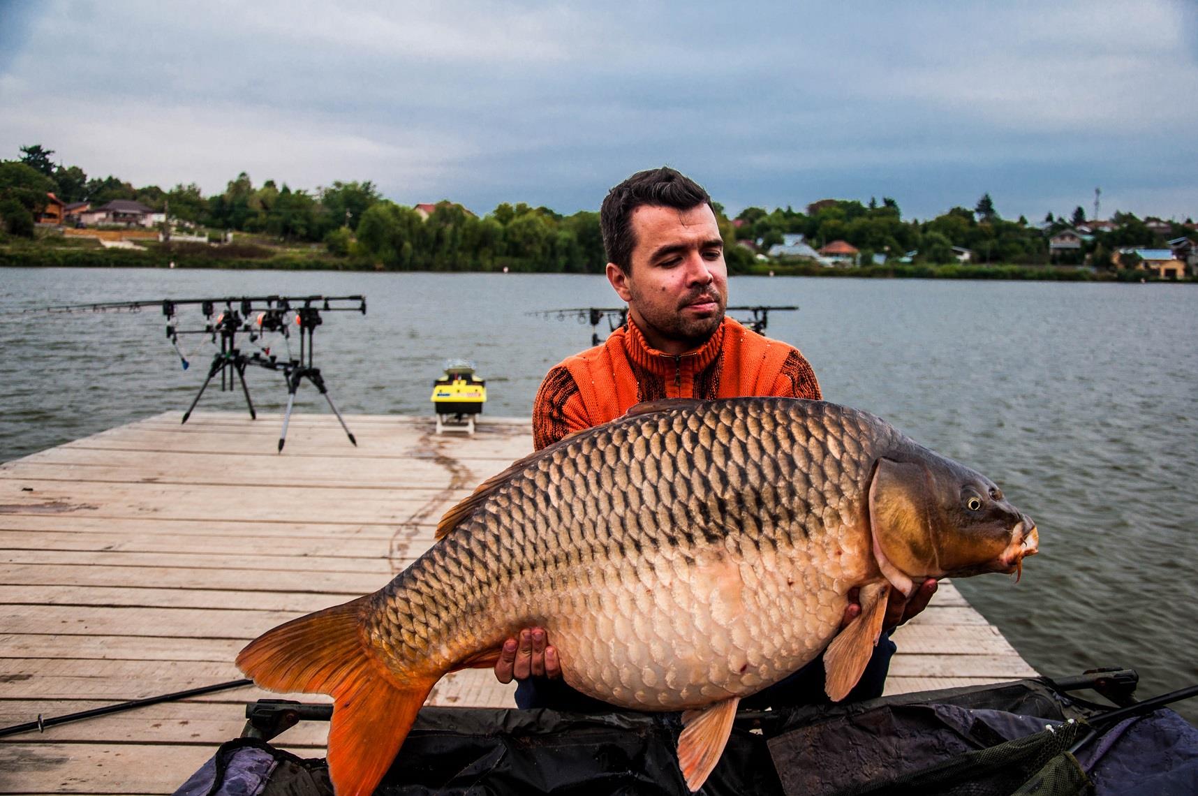 Expozitie de crapi la Moara Vlasiei 2 - 11-pescuit-moara-vlasiei-2.jpg
