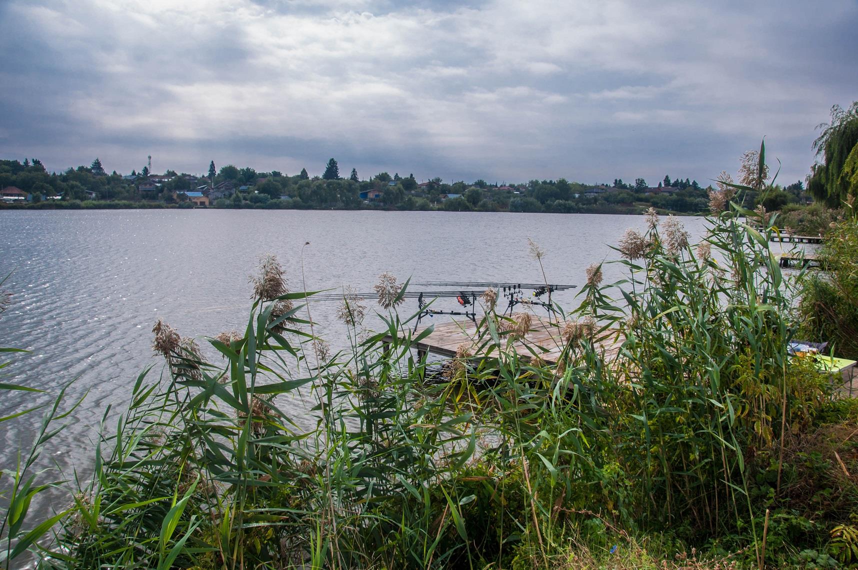 Expozitie de crapi la Moara Vlasiei 2 - 17-pescuit-moara-vlasiei-2.jpg