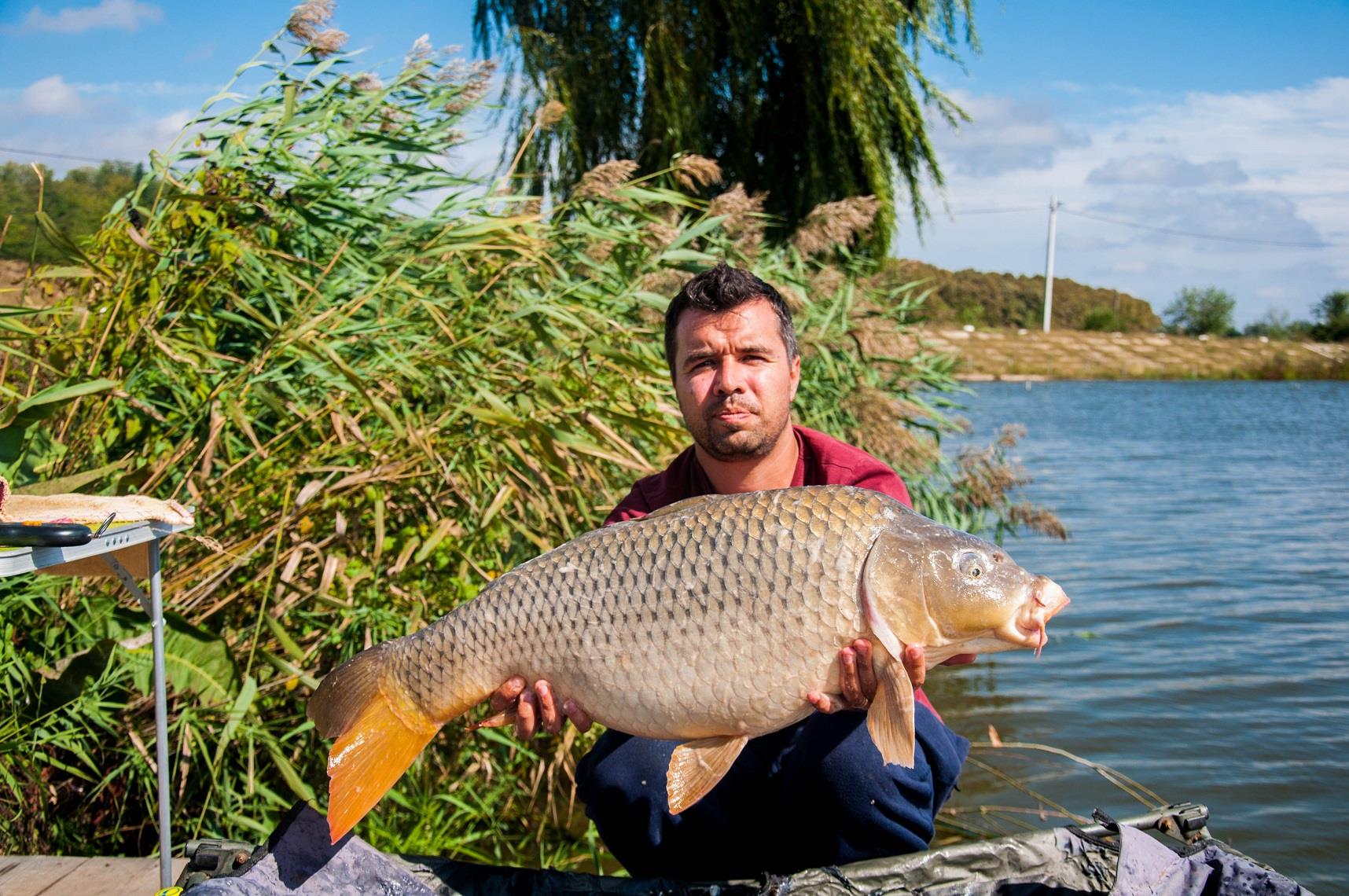 Expozitie de crapi la Moara Vlasiei 2 - 36-pescuit-moara-vlasiei-2.jpg