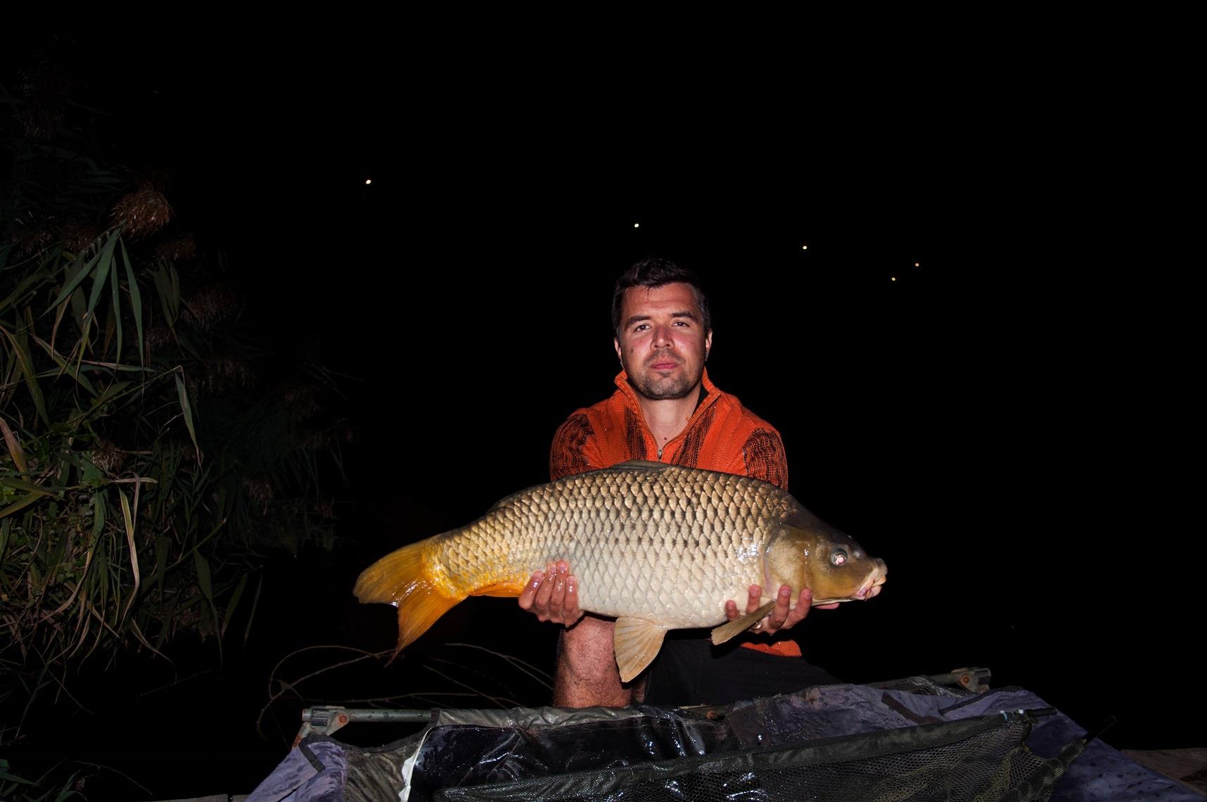 Expozitie de crapi la Moara Vlasiei 2 - 4-pescuit-moara-vlasiei-2.jpg