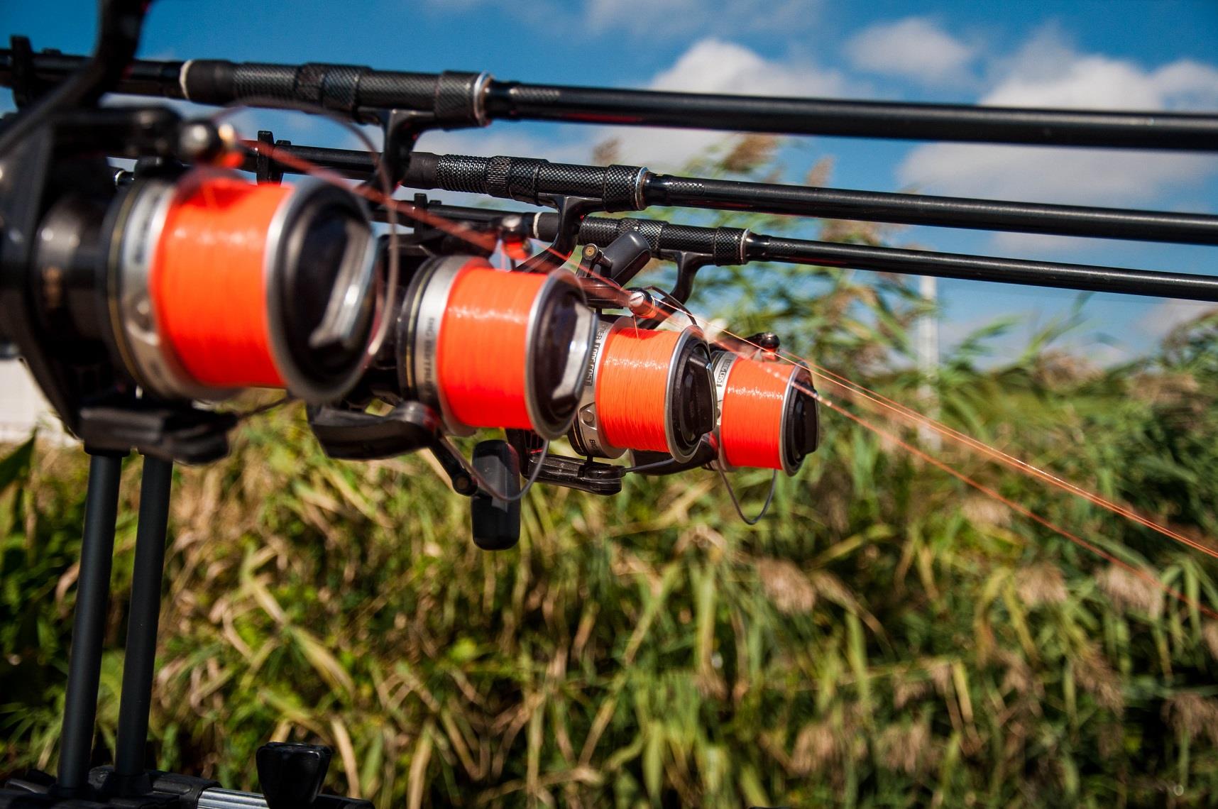 Expozitie de crapi la Moara Vlasiei 2 - 42-pescuit-moara-vlasiei-2.jpg