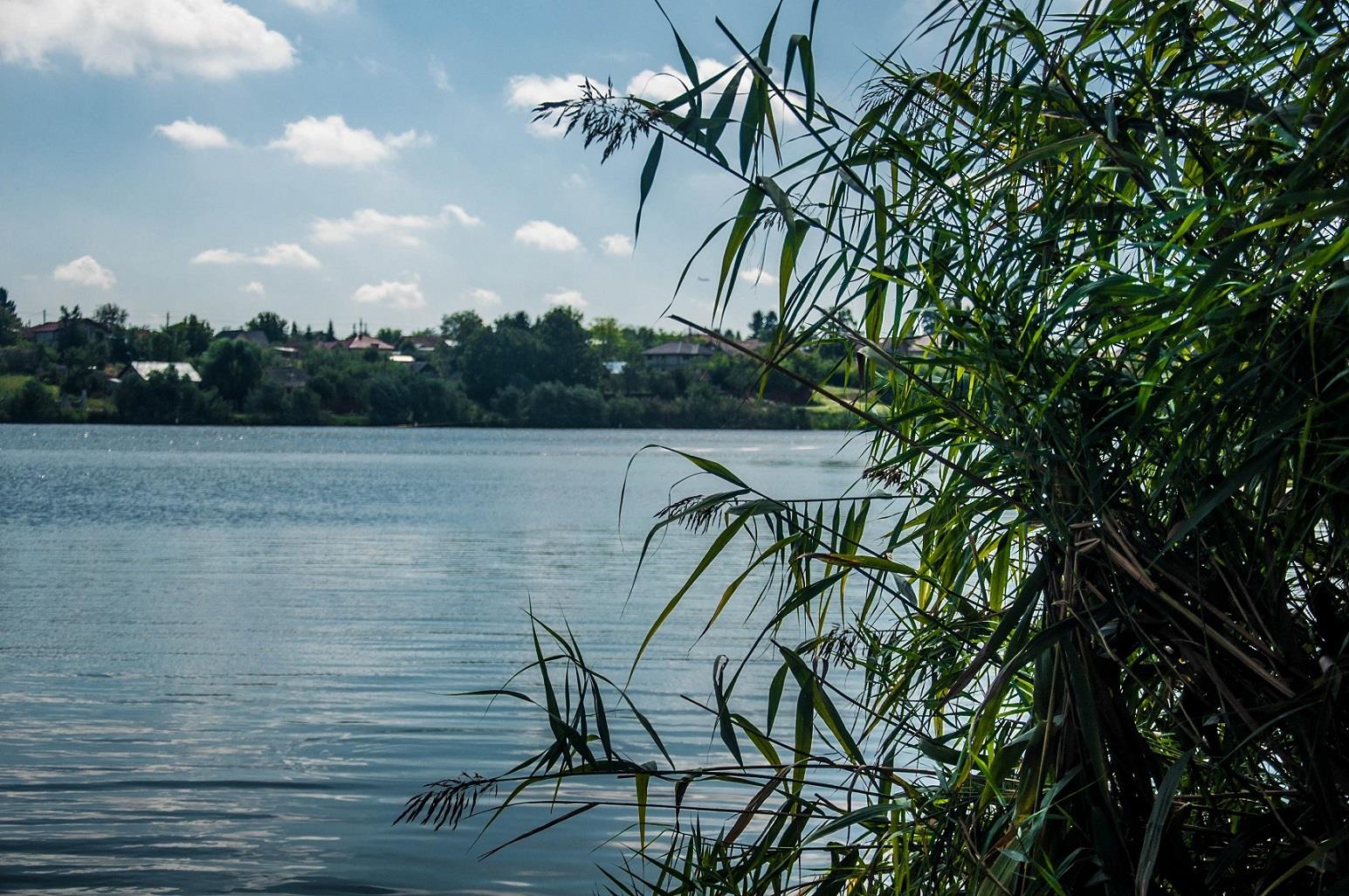 Expozitie de crapi la Moara Vlasiei 2 - 45-1-pescuit-moara-vlasiei-2.jpg