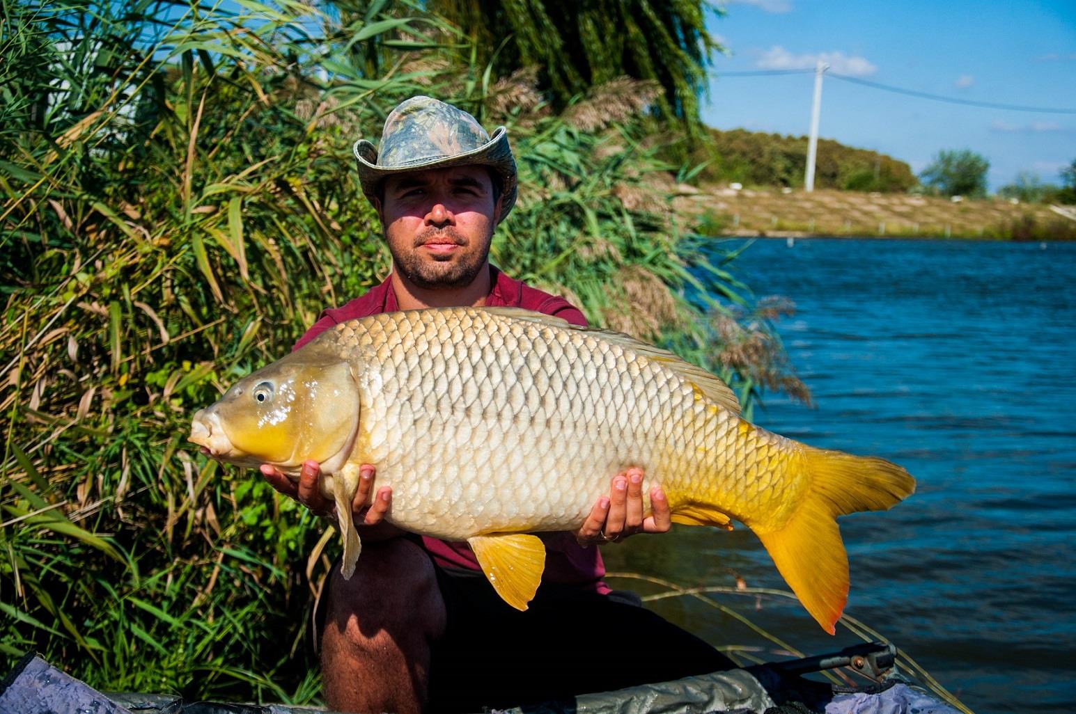 Expozitie de crapi la Moara Vlasiei 2 - 47-1-pescuit-moara-vlasiei-2.jpg