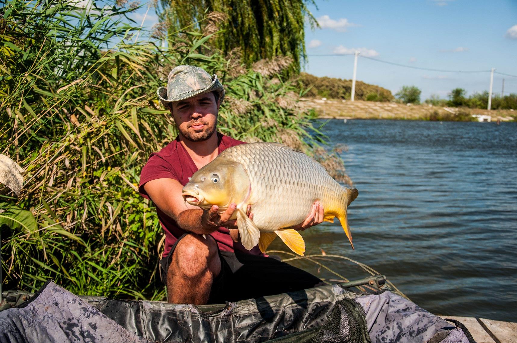 Expozitie de crapi la Moara Vlasiei 2 - 48-pescuit-moara-vlasiei-2.jpg