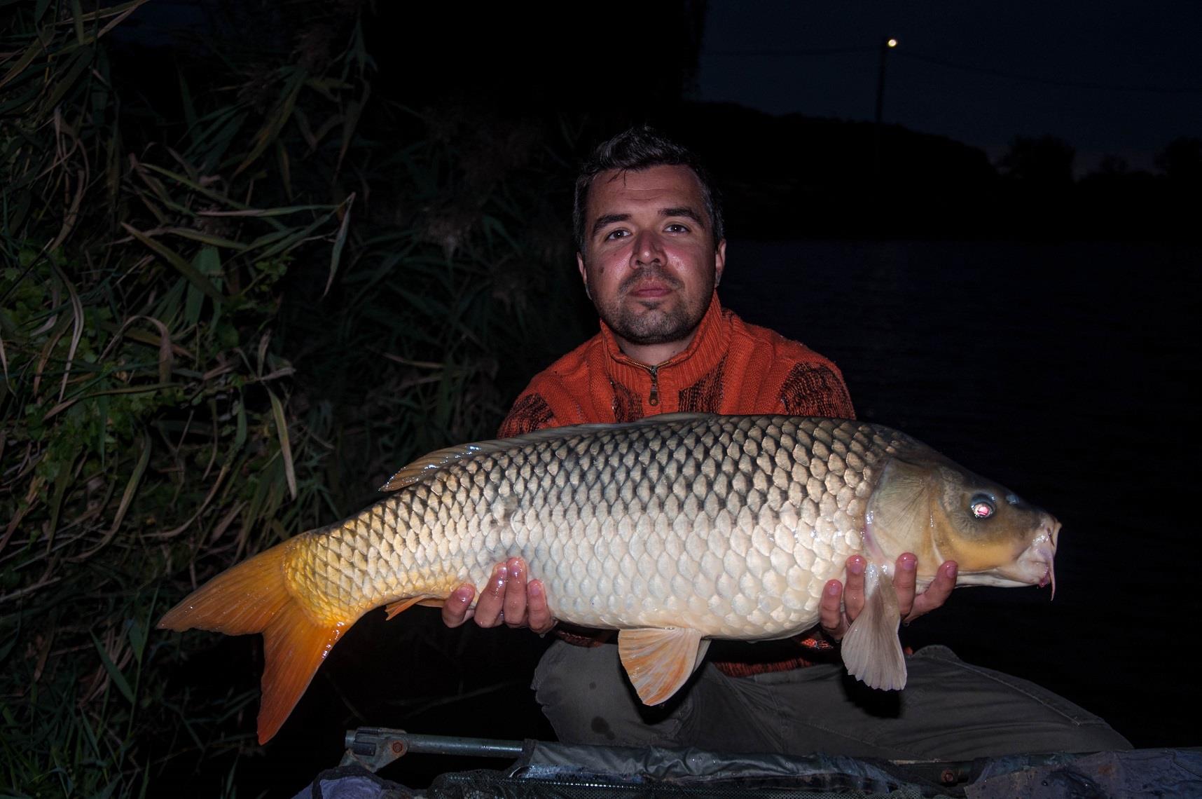 Expozitie de crapi la Moara Vlasiei 2 - 6-1-pescuit-moara-vlasiei-2.jpg